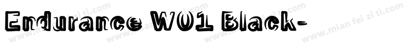 Endurance W01 Black字体转换